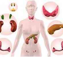 Endokrine bolesti u žena: Simptomi, dijagnoza