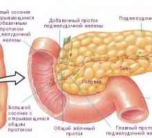 Simptomatologija bolesti pankreasa u žena