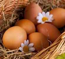 Kako prepoznati parazite u kokošjim jajima