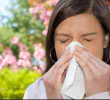 Kako pobijediti proljetni alergije?