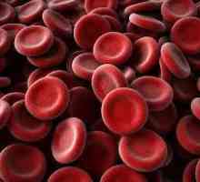 Kako povećati trombocita u krvi?