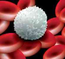 Kako podići razinu bijelih krvnih stanica