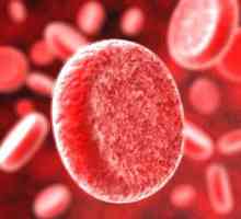 Kako povećati hemoglobina