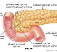Kako je pankreatitis i kako ga liječiti?