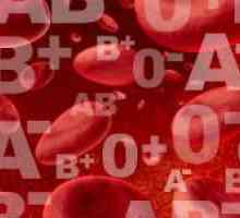 Kako izračunati djeteta krvnom grupom