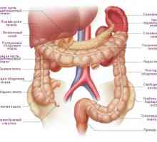 Simptomi i liječenje raka debelog crijeva