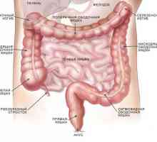 Simptomi i tretman bolesti debelog crijeva Metode poprečni