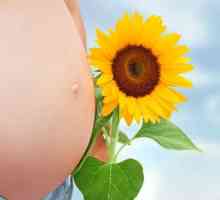 Što je žuto tijelo u trudnoći
