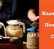 Kalmyk čaj. Koristi i štete od nomada piti