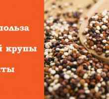 Quinoa - žitarice od Anda do svoje zdravlje