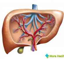 Cista jetre: Uzroci i metode liječenja narodna