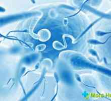 Kako povećati pokretljivost spermija: osnovne tehnike