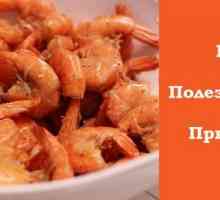 Škampi - koristi i štete od plodova mora