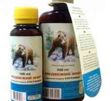Ljekovita svojstva medvjeda masti i njegova primjena u liječenju