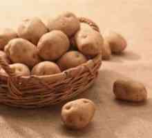 Liječenje hemoroida krumpir: narodne recepte
