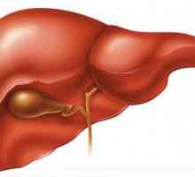 Giardia u jetri - Liječenje
