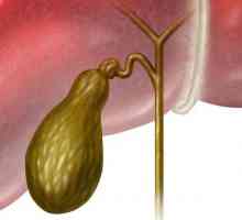 Giardia u žučni mjehur - simptomi i liječenje