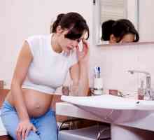 Giardijaza u trudnoći: rizik, dijagnoza i liječenje