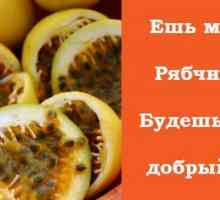 Passionfruit. Korisna svojstva „krunica”