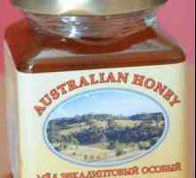 Eukaliptus med je sladak, korisno! Od davnina su liječili bolesti