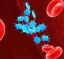Metode povećanja razine trombocita u krvi