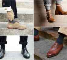 Moda za čarape