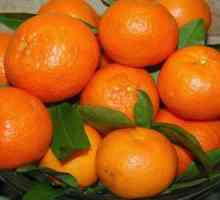 Možemo li mandarine s dijabetesom tipa 2?
