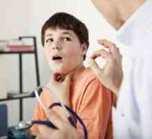 Je li moguće izliječiti upalu grla u dijete narodnih lijekova