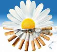 Bolni misli o tome kako prestati pušiti - narodni lijekovi pomoći će u tome