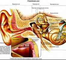 Najčešće bolesti uha