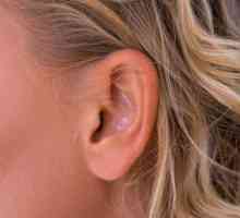 Narodna liječenje upale srednjeg uha.