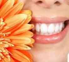 Folk lijekovi s parodontitisa