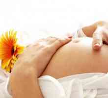 Vanjska endometrioza i trudnoća: što bi mogao biti posljedice?