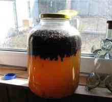 Tinktura od pčelinjeg Podmore votke ublažavanje ljudskih jastučići bolesti!