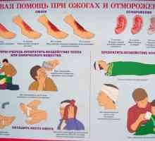 Hitna medicinska pomoć. CPR i prva pomoć