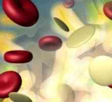 Norma leukociti u urinu ljudi, razloga za rast broja bijelih krvnih stanica.