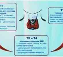Norme hormoni štitnjače TSH, T3 i T4
