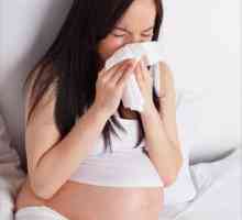 Potrebno je izliječiti alergiju za trudnice? Posavjetujte se allergist!