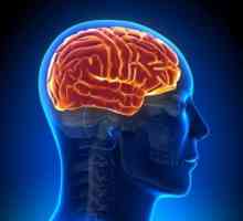 Relativna i apsolutna kontraindikacija mozga MR