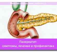 Pankreatitis: Simptomi, liječenje i prevencija