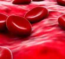 Norma hemoglobina u krvi i njegovim funkcijama