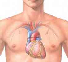 Transplantacije srca: priroda i stvarnost rad, čitanje, držanje, prognoza