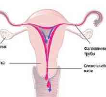 Prvi znakovi menstruacije kod djevojčica 47