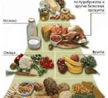 Hrana piramida - tradicionalni „svejedi” prehrana.