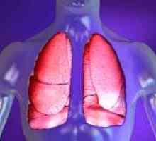 Pneumonija (upala pluća). Liječenje narodnih lijekova.