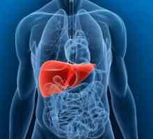 Što uzrokuje jetrenog apscesa tretiraju i kako