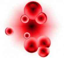 Podignite hemoglobina narodnih lijekova. anemija