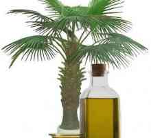 Korisne i štetne svojstva palminog ulja