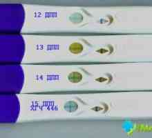 Pozitivan test u nedostatku trudnoće: Kako se to može?