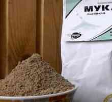 Koristi i štete od lanenog brašna: kako napraviti korisna svojstva i kontraindikacije, mišljenja,…